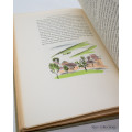 Travels with a Donkey by Robert Louis Stevenson (Signed Limited Edition)