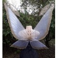 Chrysalis Fairy Wings for Adults ( Elf Wings, Pixie wings for Fairy costume, cosplay)