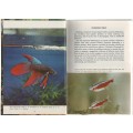 TROPICAL FISH FOR BEGINNERS - DR HERBERT R AXELROD (1980)