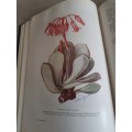 The Medicinal and Poisonous Plants of Southern Africa being An Account of their Medicinal Uses. VG+