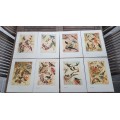 Our Birds. Second Series. First Printing. 8 Colour Plates SIGNED BY HEINIIE VON MICHAELIS.
