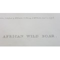 African Wild Boar. Original Limited 1798 Copper Engraving, Hand Coloured! Wildlife print of warthog.