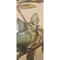 Gail Darroll. ORIGINAL PAINTING. Knysna Loerie