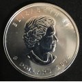 Canadian 99.99% Silver 1oz Maple Leaf Coin 2014