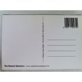 Rose Rigden - The Natural Selection Post Card