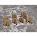 x7 Bone Elephants