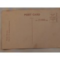 Montagu. Post Card