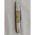 Vintage pocket knife with steel blades and bone