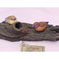Two bird`s sitting on a log