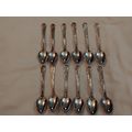 EMESS S.P. A1 SAL Teaspoons set x 12