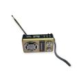 4-In-1 Am/Fm Rechargeable Bandwidth Radio, Usb Slot, Sd Slot And Flash