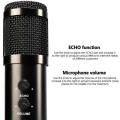 Mk-F200Tl Adjustable Studio Condenser Recording Microphone