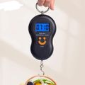 Portable Digital Scale For Food, Fishing And Luggage