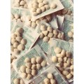 Nuez De La India 5 PACKS OF 12 Nuts (60 Nuts) 10 month supply