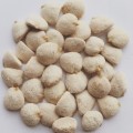 Nuez De La India 100% natural 20 packs of 12nuts (240nuts)