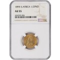 S. Africa: 1895 ZAR Gold 1/2 Pond NGC Certified AU55