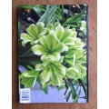 Clivia Yearbook 7