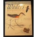 Waders of Southern Africa -- Phil Hockey Clare Douie