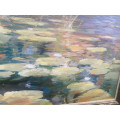 PETER HALL - Magnificent Waterlilies - JUST WOW!