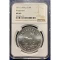 2021 1oz NGC certified MS69 Silver Krugerrand Coin (BU) slabbed