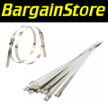 10 Piece Stainless Steel Cable Ties - 3 ON AUCTION