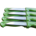 12pc Fruit Knives - 3 ON AUCTION