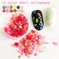 The Nail Art - 12 color shell cellophane