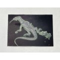 Card - 1994 Chromium Creatures Trading Card #70 Lizard