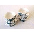 Midwinter Soup Cup/bowl in Spanish Garden Pattern