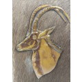 Rare Vintage Copper Plaque of Sable Antelope From Rhodesia