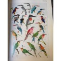 ROBERTS BIRDS OF SOUTH AFRICA, R50.