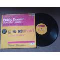 Public Domain  Operation Blade (Bass In The Place...) - 12" Vinyl Record - Xtrahard - 2000 - EX