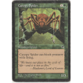 Magic the Gathering - Canopy Spider