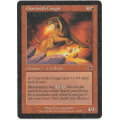 Magic the Gathering - Chartooth Cougar
