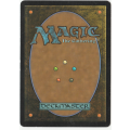 Magic the Gathering - Petrahydrox