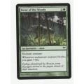 Magic the Gathering 1993-2012 (NM) - Favor of the Woods - Dark Ascension