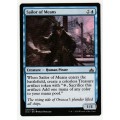 Magic the Gathering 2018 (NM) - Sailor of Means - Common - Rivals of Ixalan
