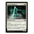 Magic the Gathering 2016 (NM) - Spectral Shepherd - Uncommon - Shadows over Innnistrad