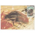 1987 RSA Beetles # 55 - 58 Postcard Set