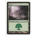 Magic the Gathering 1993-2011 - Forest 262/264 - Basic Land - Innistrad