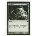 Magic the Gathering 1993-2011 - Naturalize - Common - Innistrad
