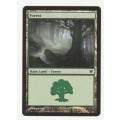Magic the Gathering 1993-2011 - Forest 263/264 - Basic Land - Innistrad