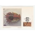 1983 South-West Africa Silk Maxicard No. 4 Rock Lobster Industry Limited Edition Set of 4 (No.026)