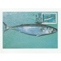 1989 Transkei Food From The Sea Postcard Set #86 - 89