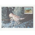 1989 Transkei Food From The Sea Postcard Set #86 - 89
