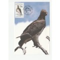 1989 Venda Vulnerable Birds Postcard Set 78 - 81