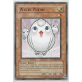 Yu-Gi-Oh! - White Potan - Ancient Prophecy (ANPR-EN033) - Common