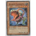Yu-Gi-Oh! - Gigantic Cephalotus - Crossroads of Chaos (CSOC-EN025) - Common