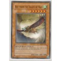 Yu-Gi-Oh! - Roc From The Valley Of Haze - Rise of Destiny (RDS-EN015) - Common
