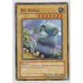 Yu-Gi-Oh! - Big Koala - Invasion of Chaos (IOC-004) - Common
